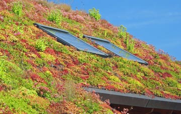 Kenton Corner living roof systems