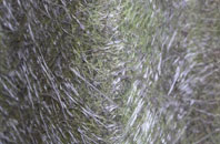 Kenton Corner fibreglass roof work